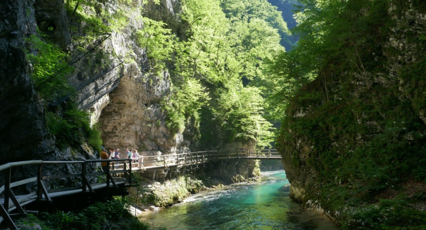 SLO_Vintgar (16) - Natur- und Bahnerlebnis Slowenien